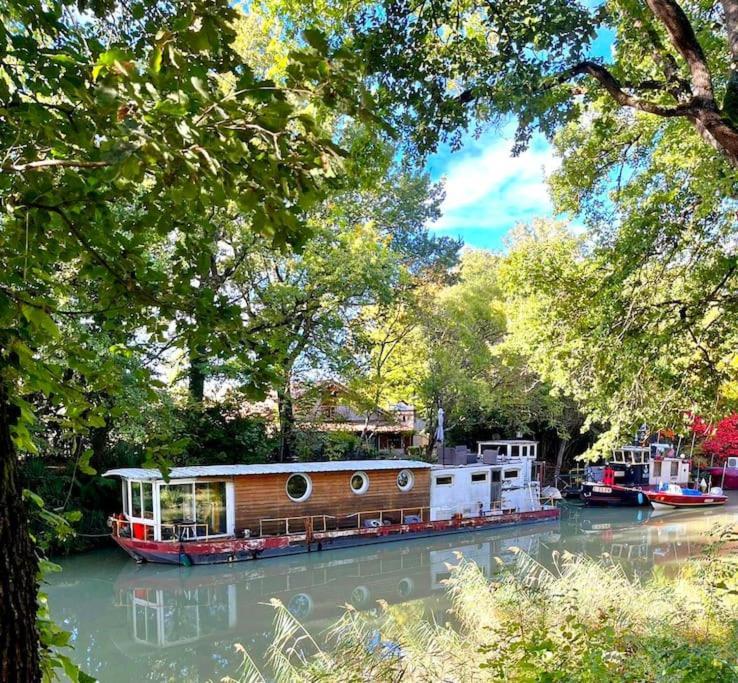 Insolite Peniche Amazonie Canal Du Midi Gardouch Экстерьер фото